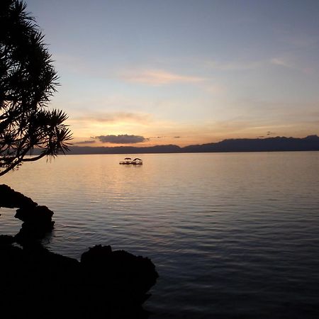 The Blue Orchid Resort Moalboal Luaran gambar