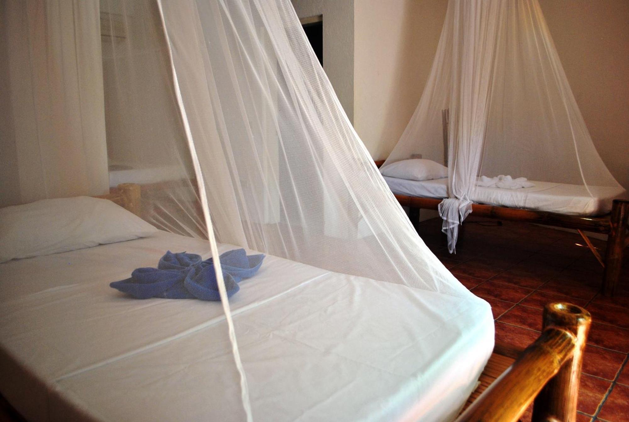The Blue Orchid Resort Moalboal Bilik gambar