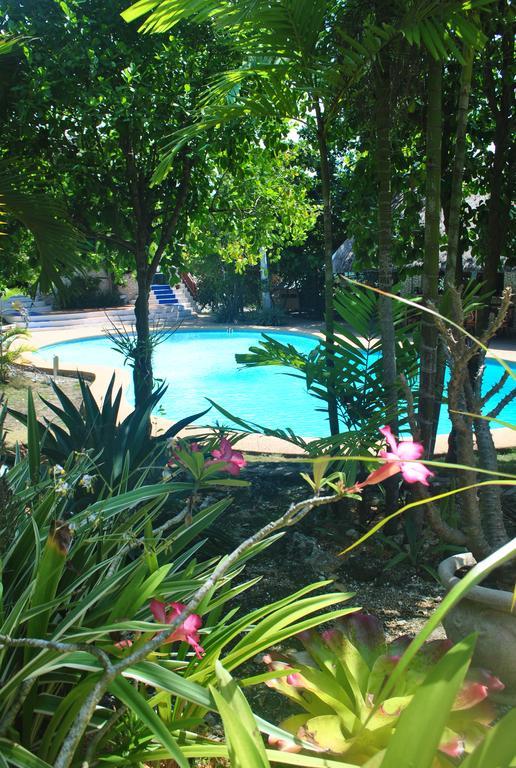 The Blue Orchid Resort Moalboal Luaran gambar