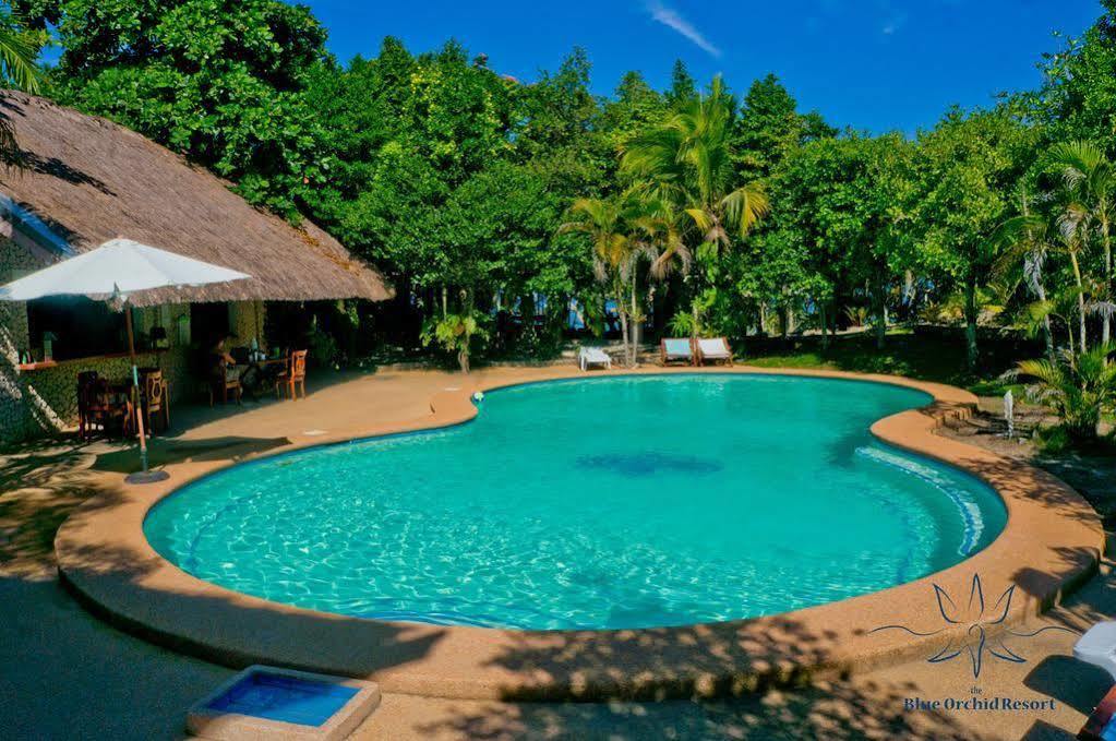 The Blue Orchid Resort Moalboal Luaran gambar